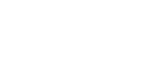 logo_nielandt_weiss_kl